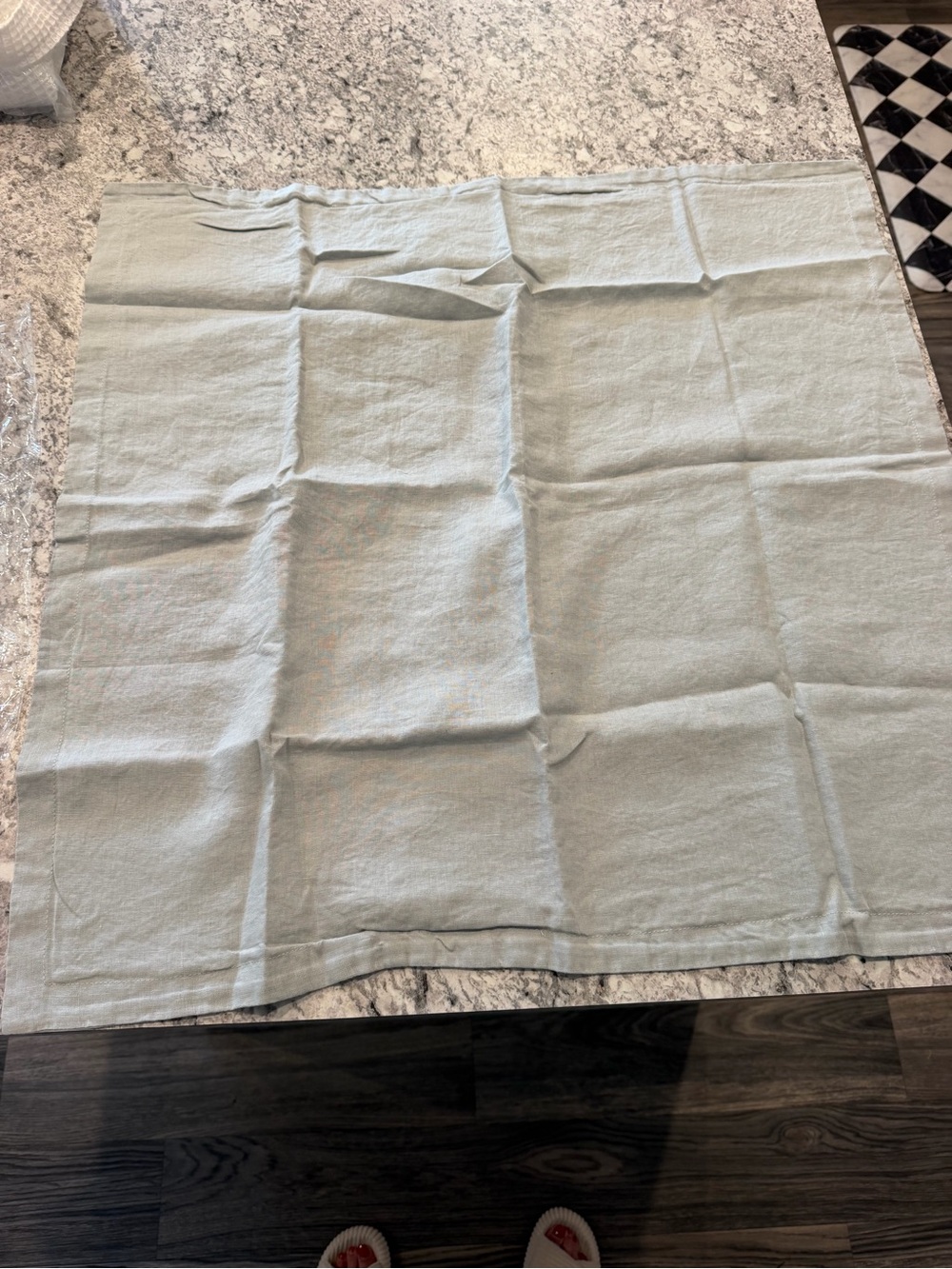 Quince Light Sage Green Linen euro Pillow Sham - 26x26
